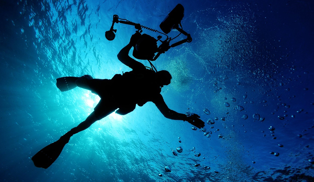 2.000 + Immersioni Subacquee e Natura immagini gratis - Pixabay